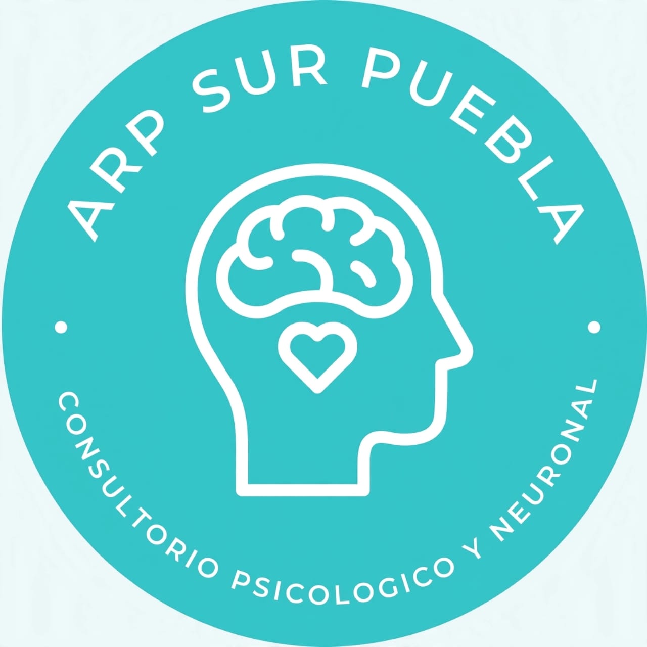 Logo ARP Sur Puebla